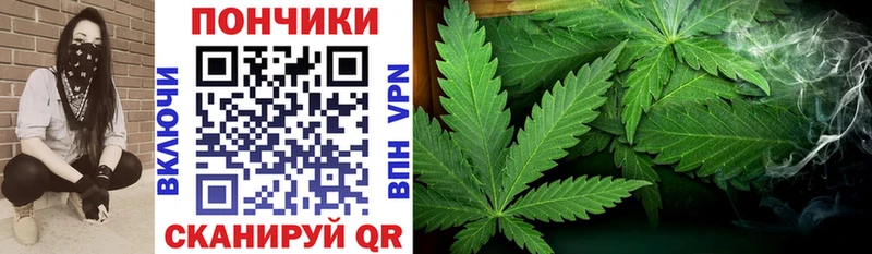Продажа наркотиков Новоалтайск COCAIN  ГАШИШ  Галлюциногенные грибы  блэк спрут ССЫЛКА  Канабис 