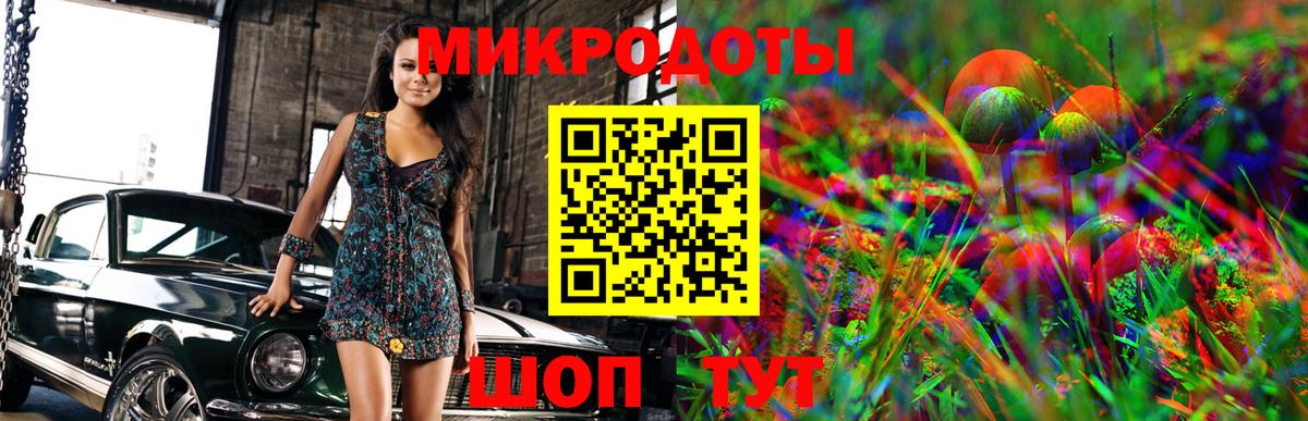 наркотики  Псилоцибиновые грибы мухоморы  Новоалтайск  Псилоцибиновые грибы Psilocybine cubensis 