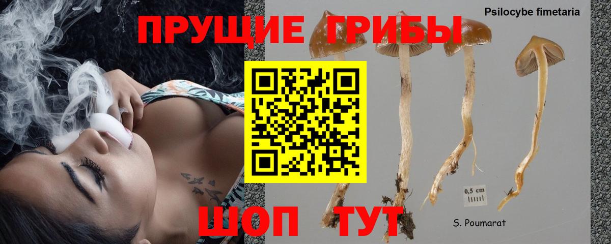 Галлюциногенные грибы мухоморы Новоалтайск